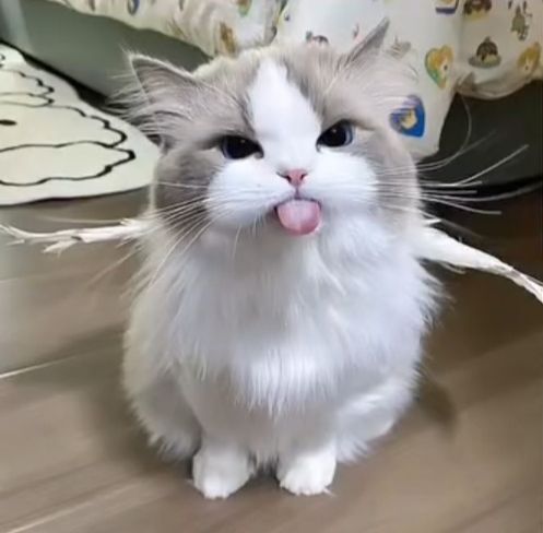 funny tongue